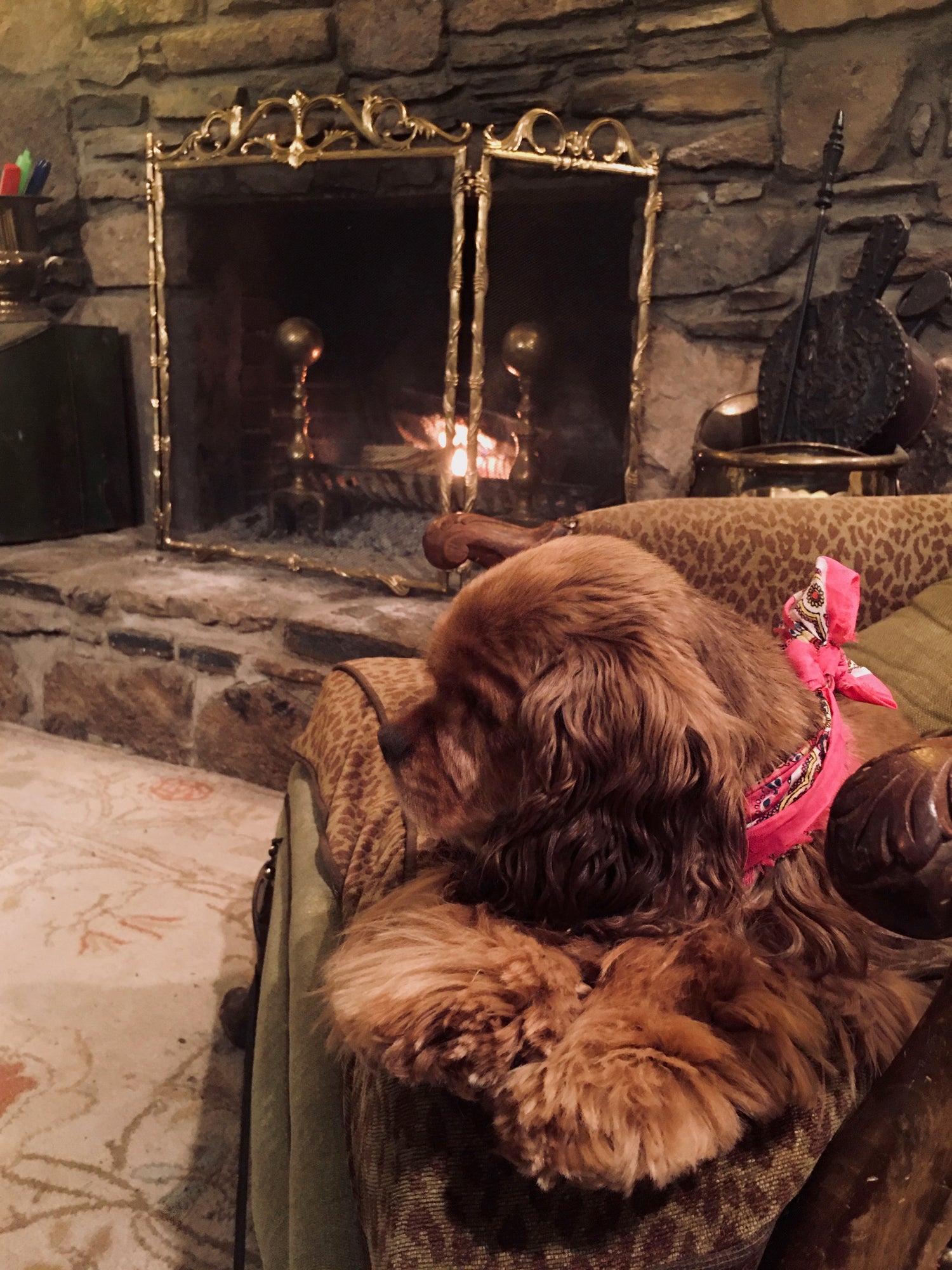 Fireside with Lady Coco