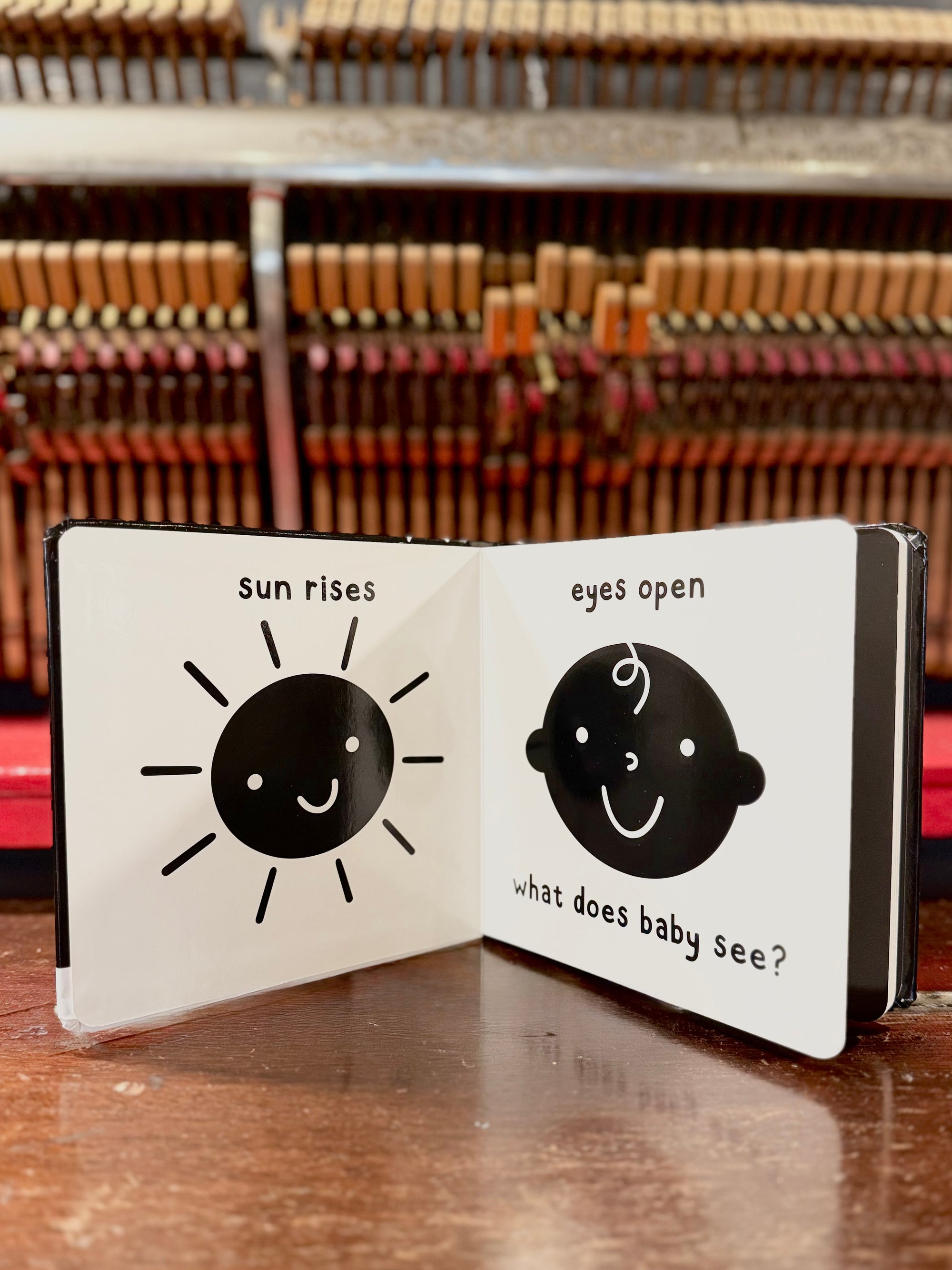 What Does Baby See? A High-Contrast Board Book