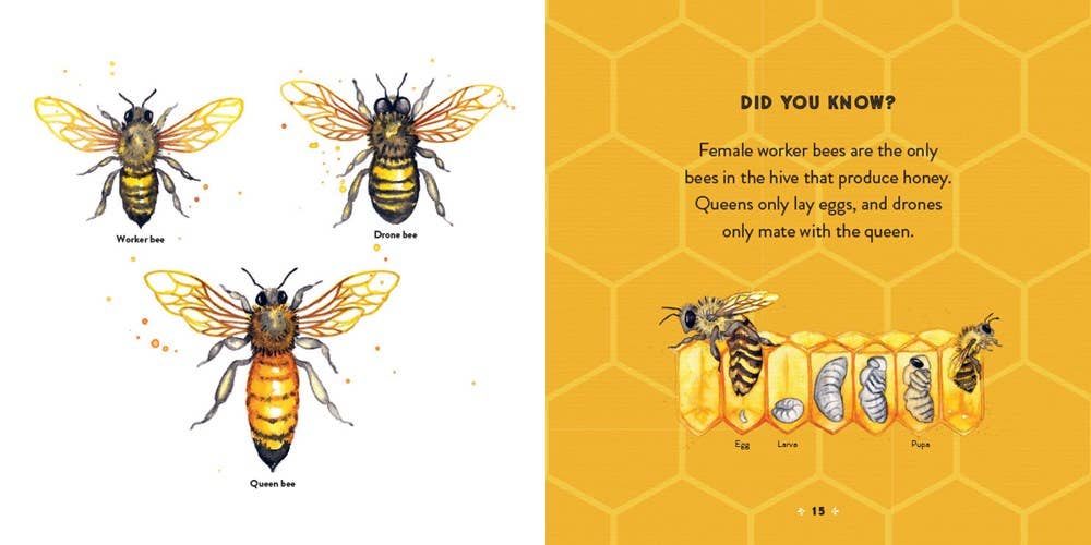 The Honey Book