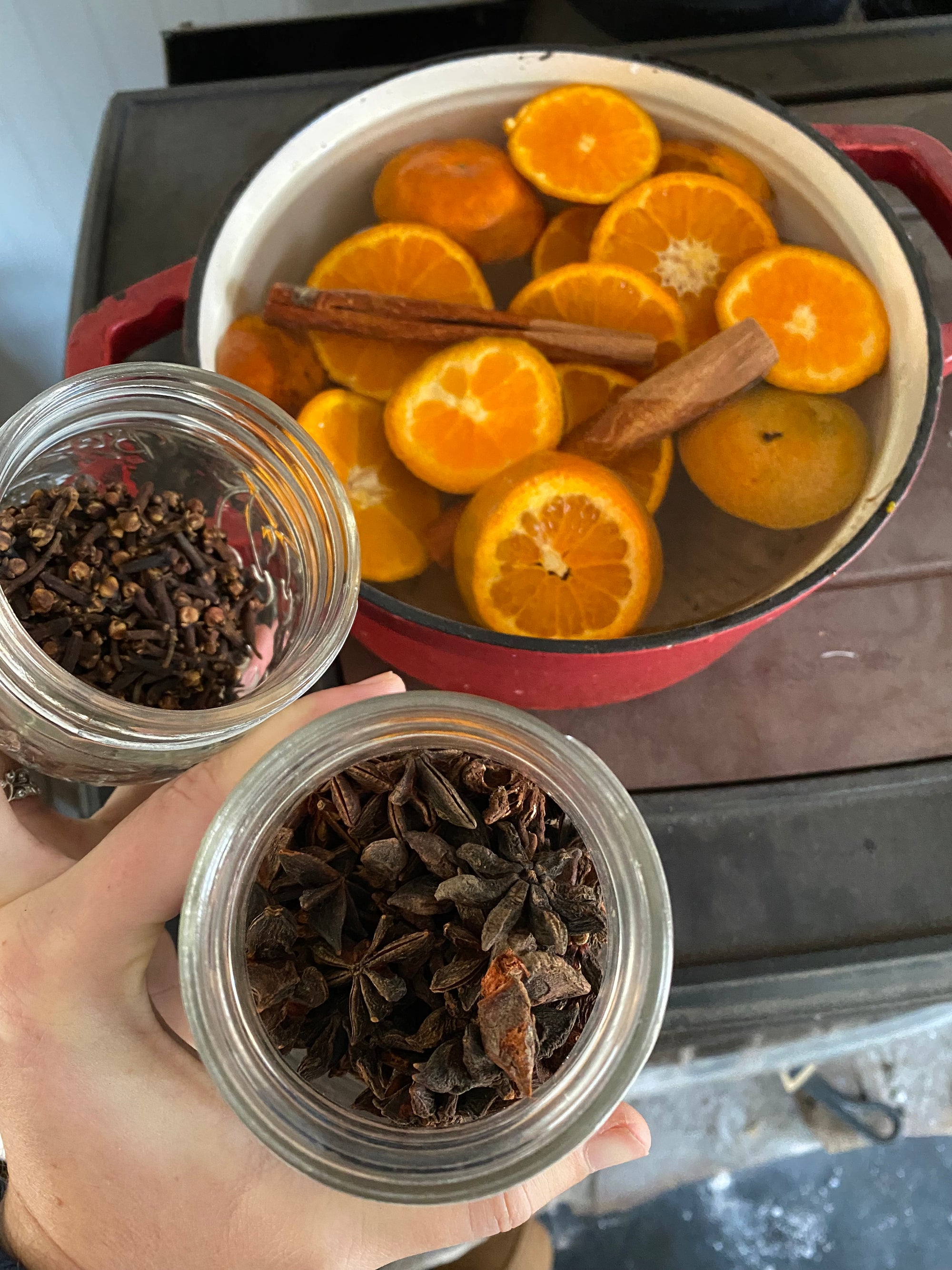 Celebrating the Arts: Home Herbal Support(August 15, 2026)