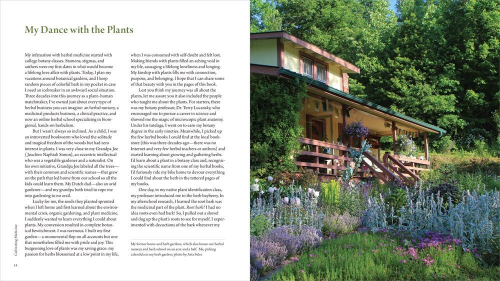 The Healing Garden by Juliet Blankespoor