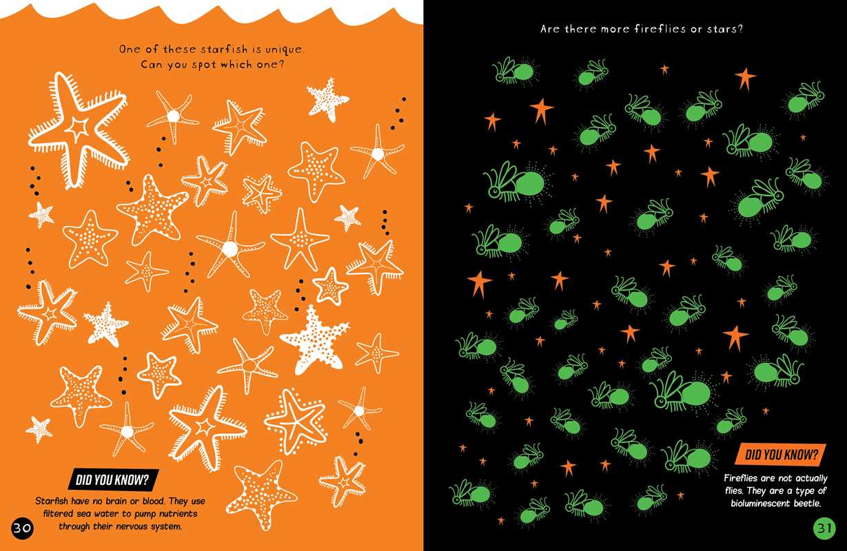 Brain Boosters Nature Puzzles Learning Activity Book for Kids