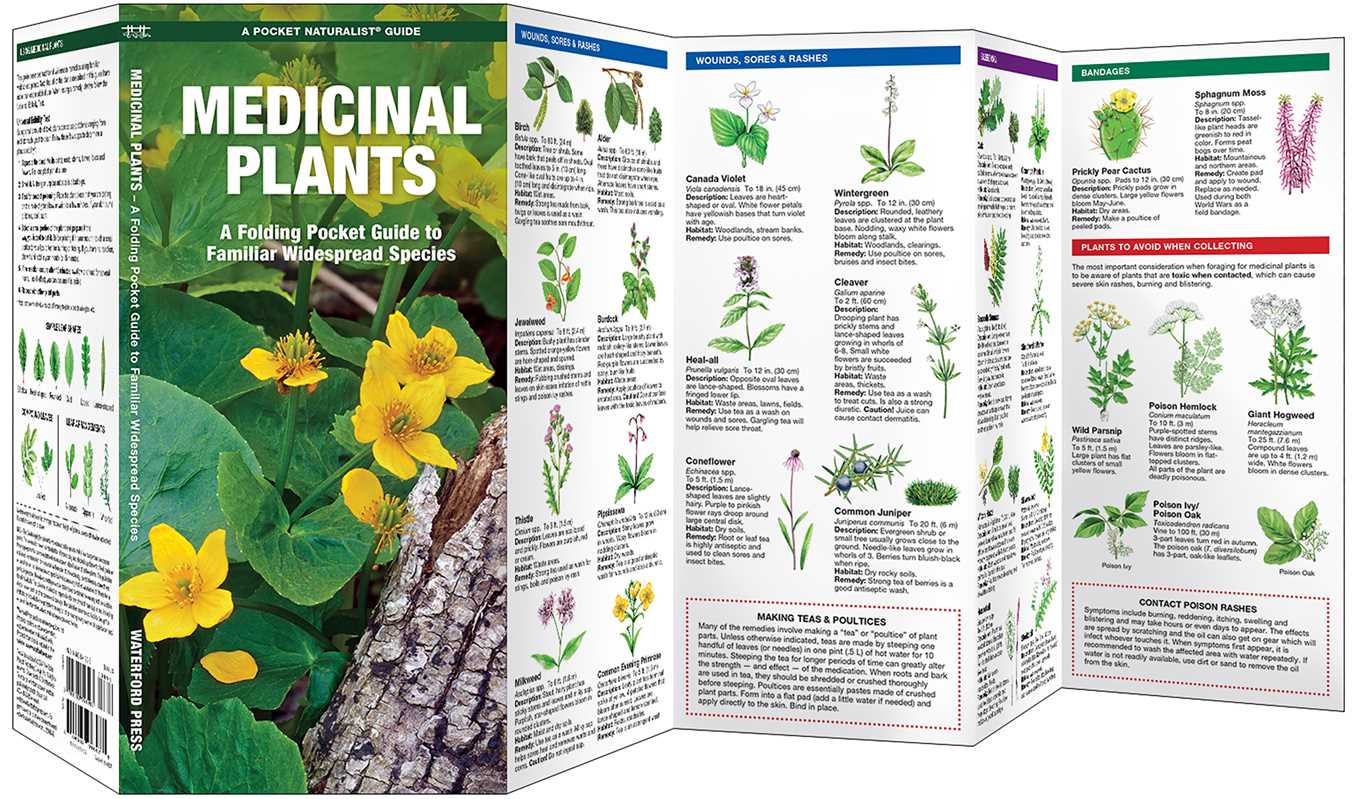 Medicinal Plants Pocket Guide