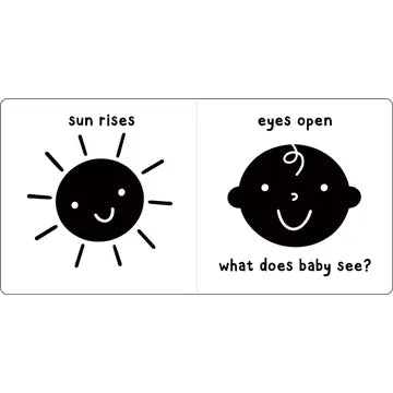 What Does Baby See? A High-Contrast Board Book