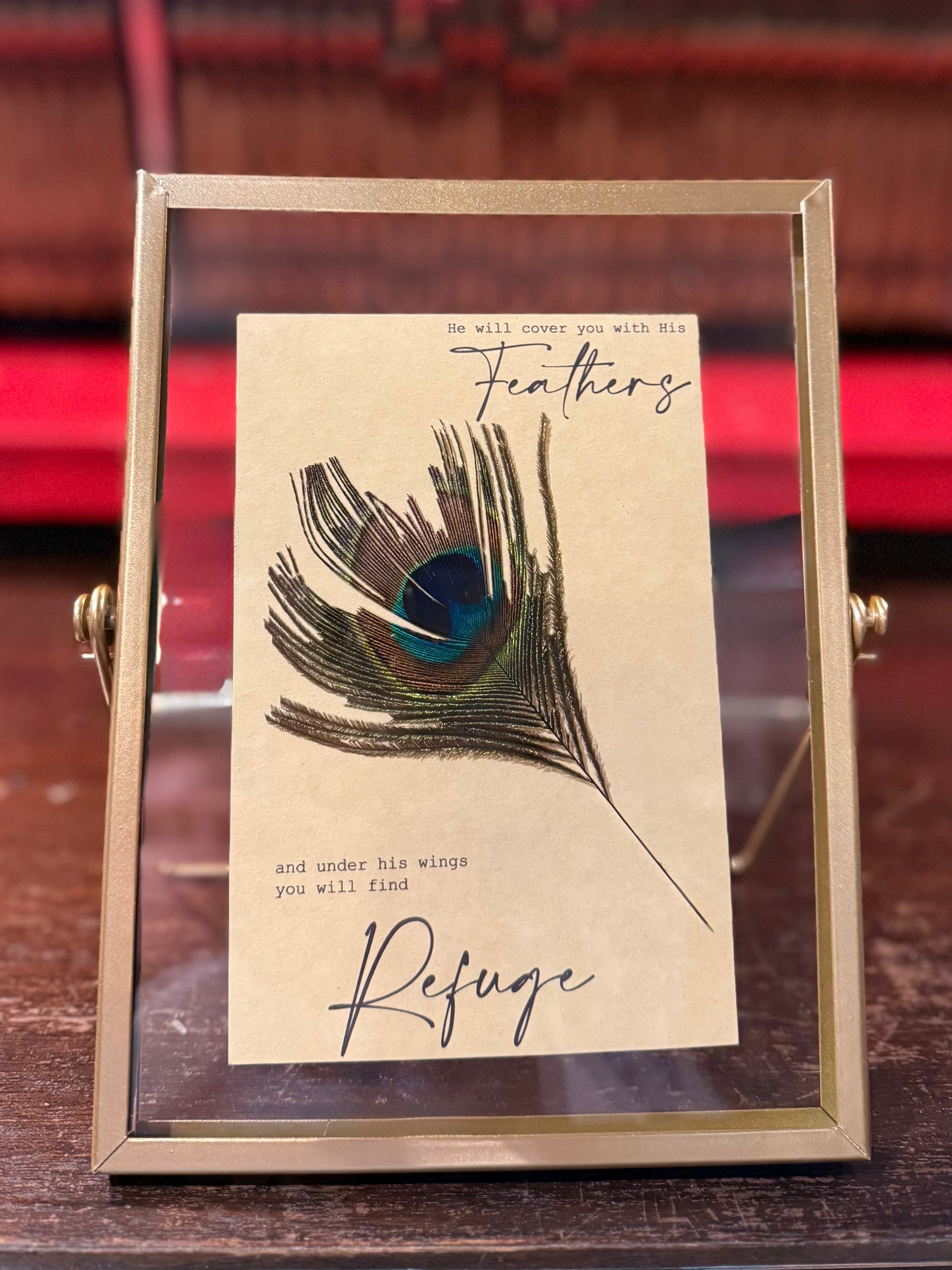 Under His Feathers Framed Art