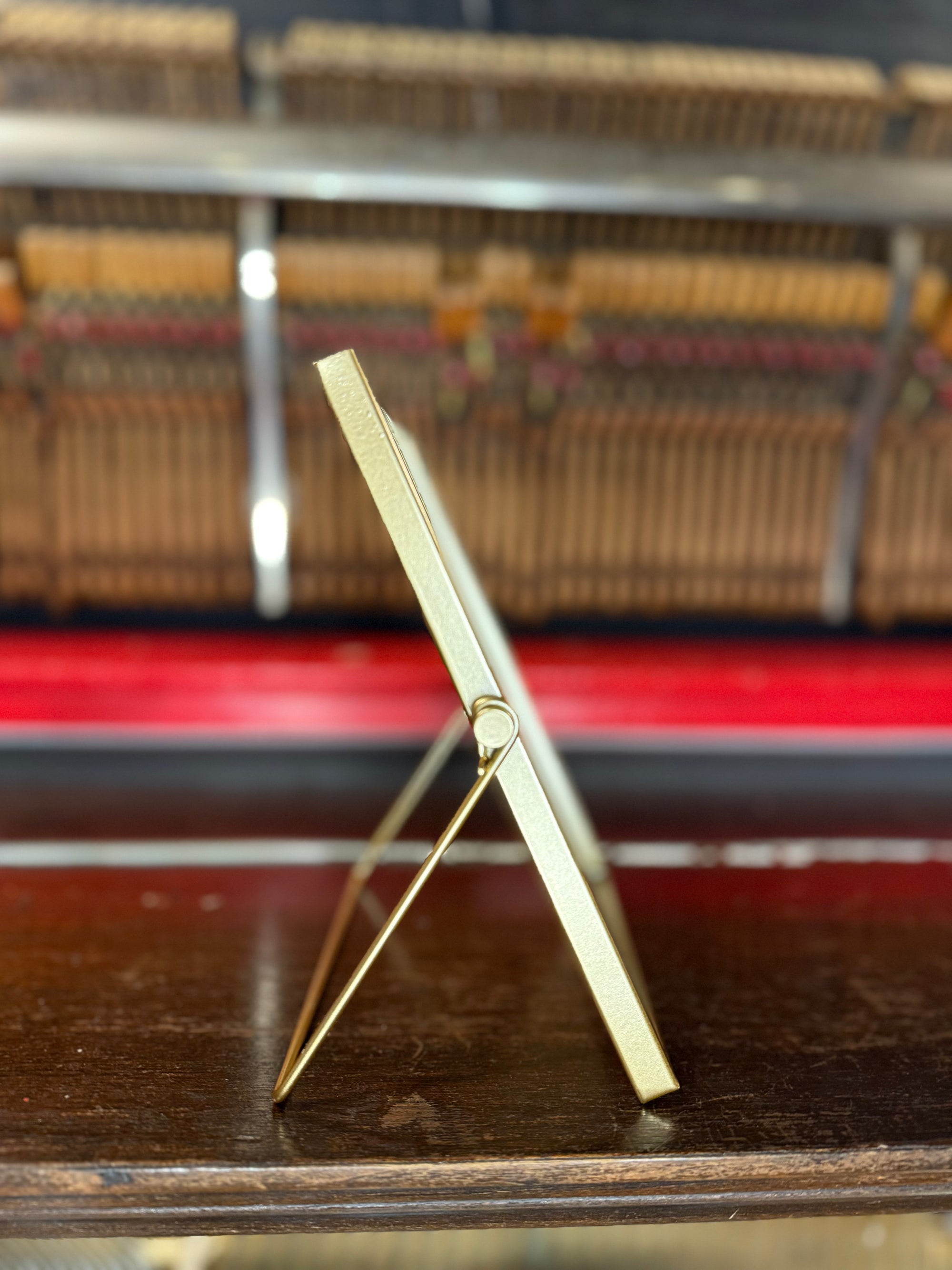 Under His Feathers Framed Art