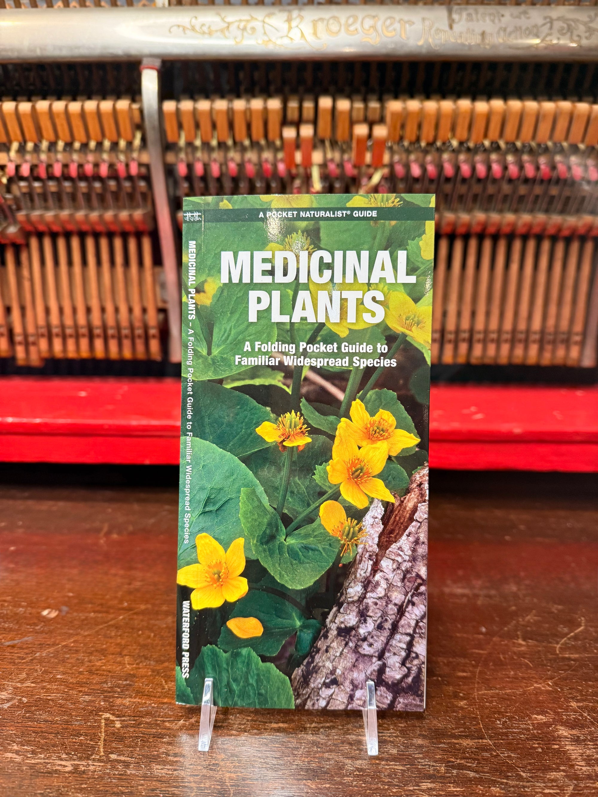 Medicinal Plants Pocket Guide