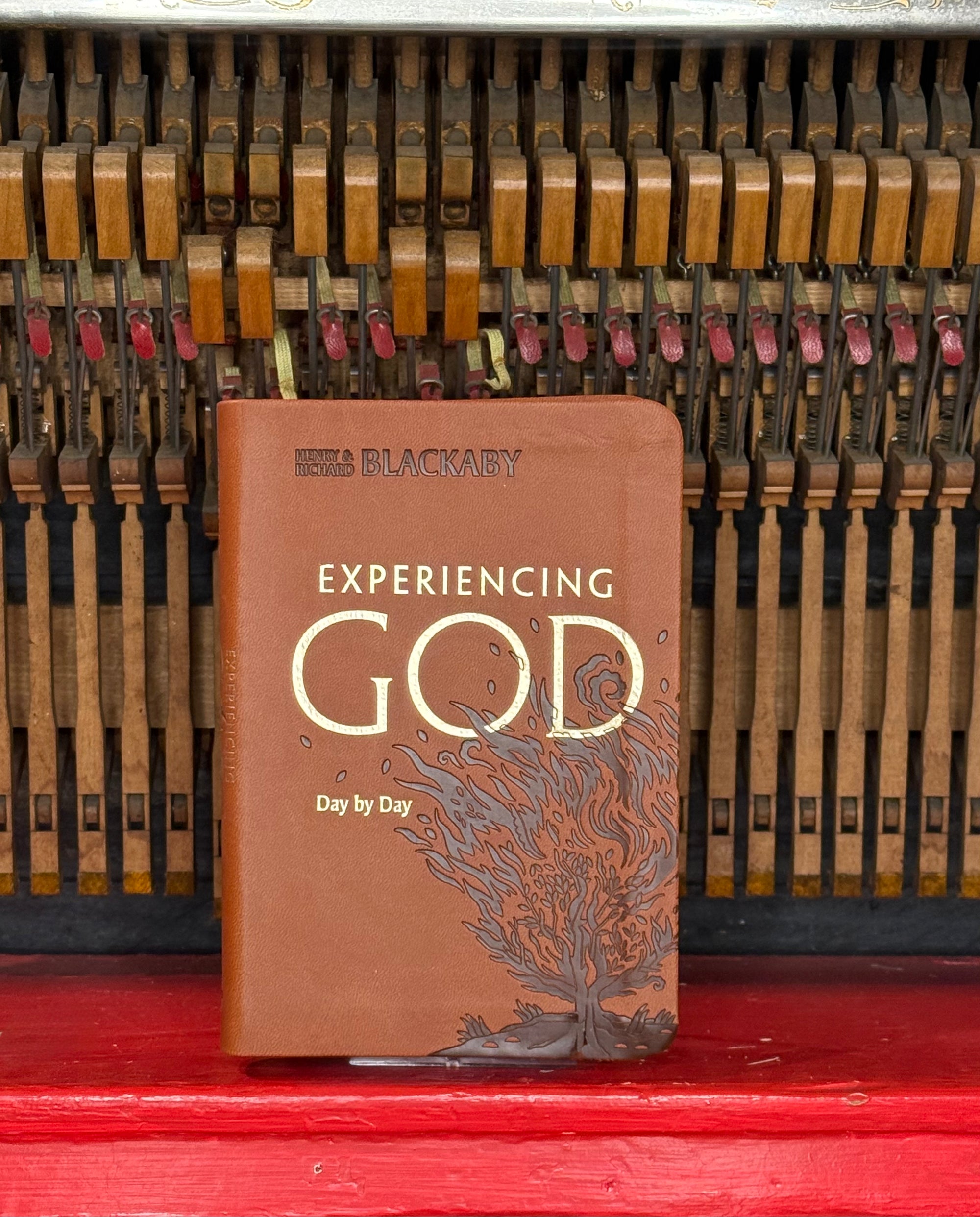 Experiencing God Day by Day