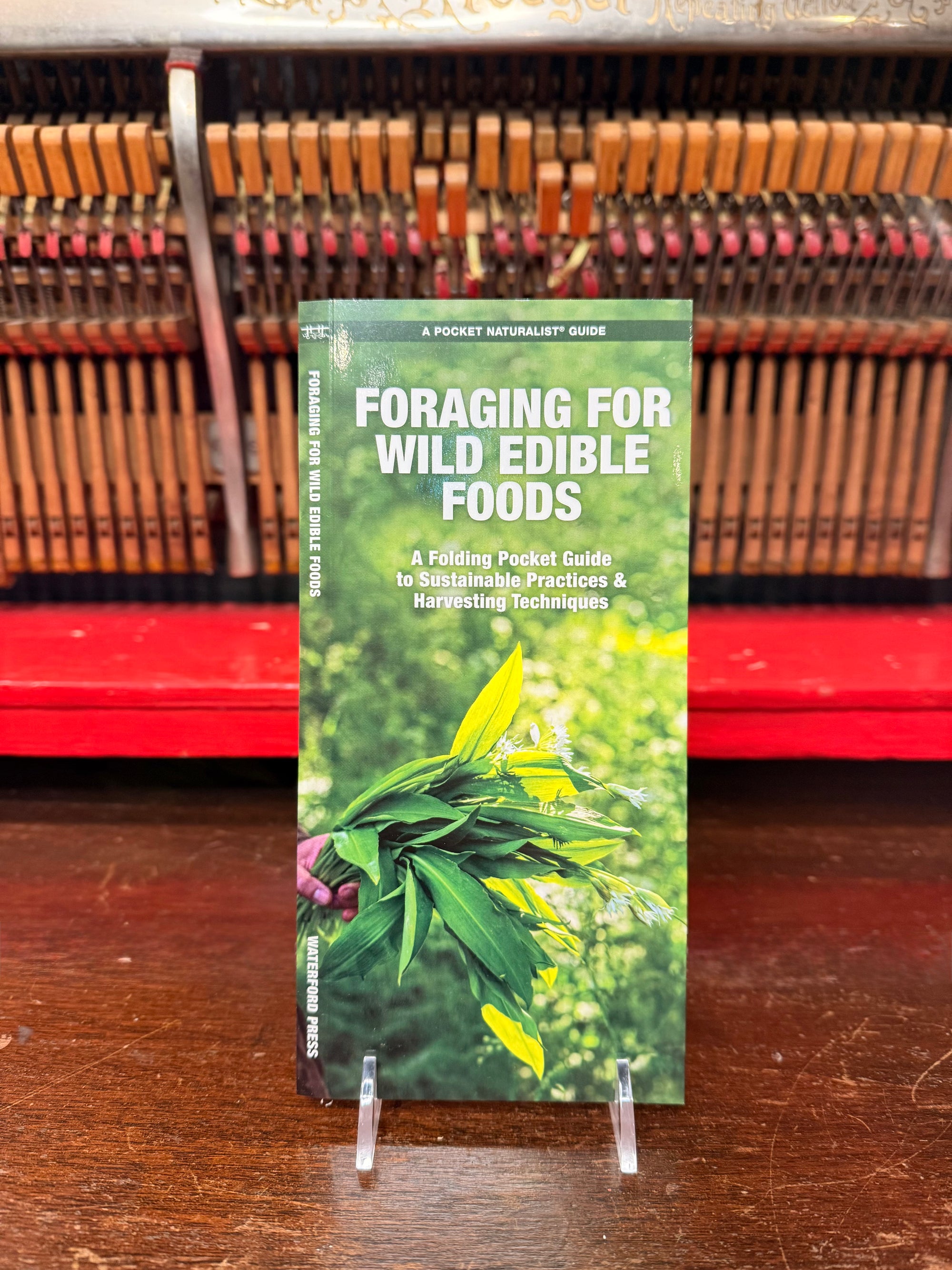 Foraging for Wild Edible Foods Pocket Guide