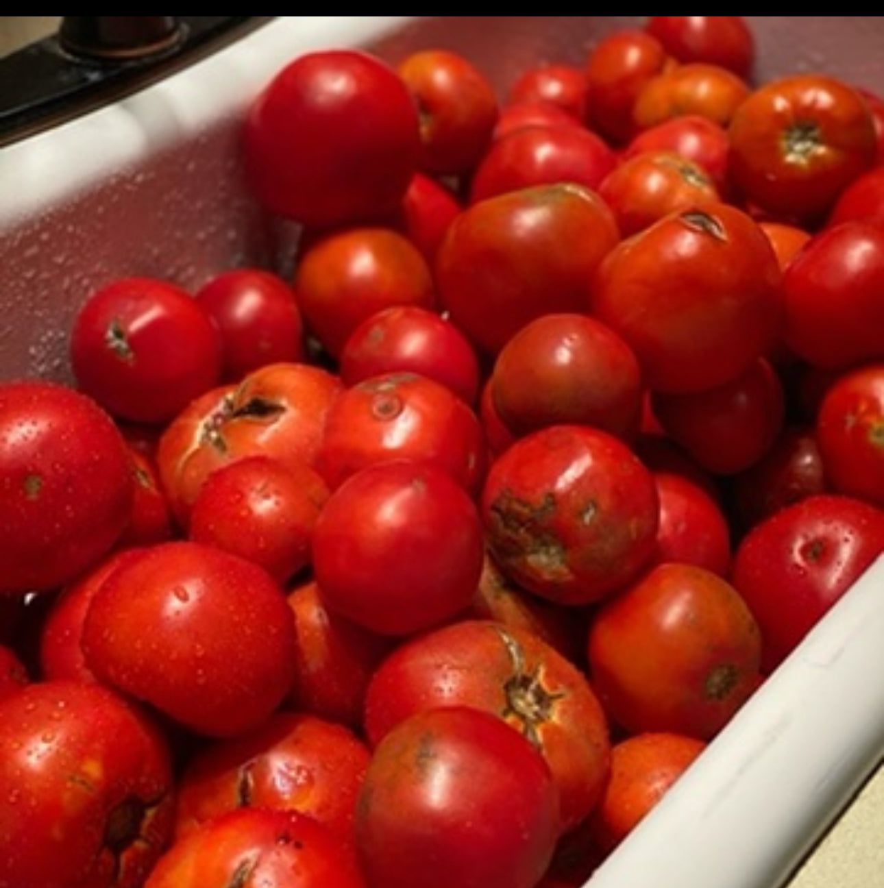 Celebrating the Arts: Intro to Canning(July 18,2026)