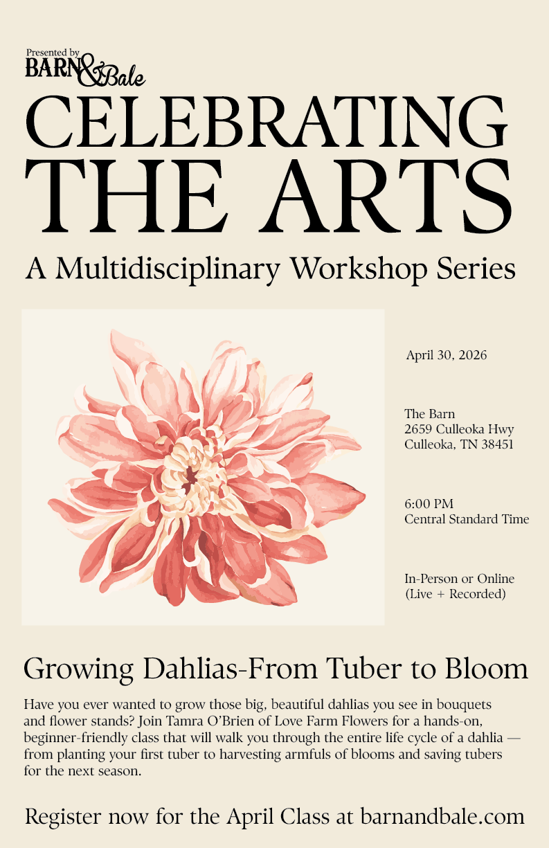 Celebrating the Arts: Growing Dahlias-From Tuber to Bloom(April 30, 2026)
