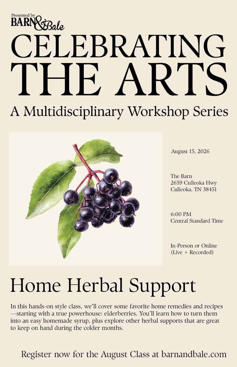 Celebrating the Arts: Home Herbal Support(August 15, 2026)