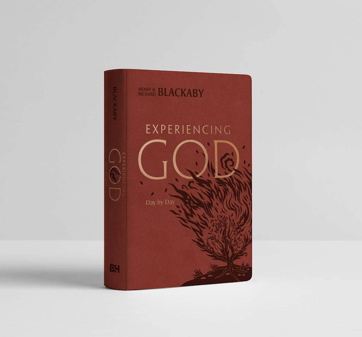 Experiencing God Day by Day